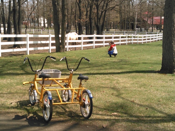 �m�[�U���z�[�X�p�[�N