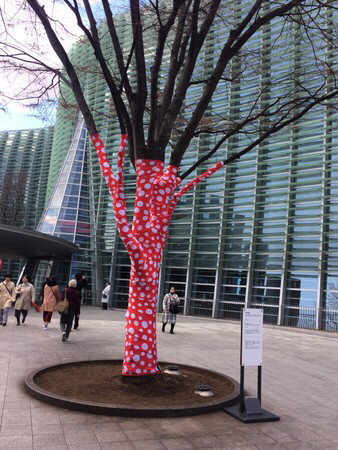 �����V���p��