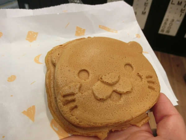 �ɐ��v�w��߂��Ɖ���