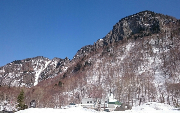 �w�_���̗o���ÊD�⒌��ߗ�