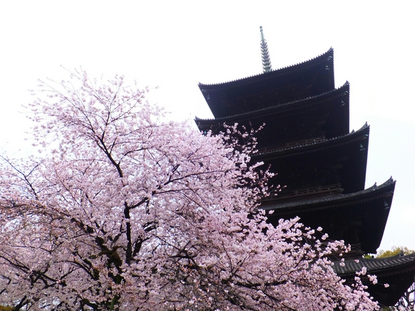 東寺(教王護国寺)