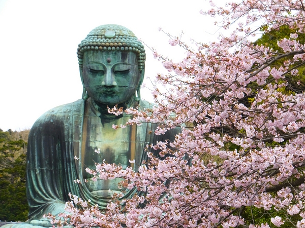 高徳院（鎌倉大仏）の写真一覧 - じゃらんnet