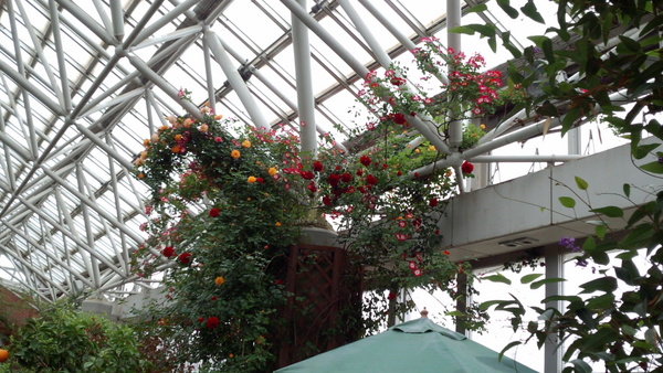 ����݂�������o����