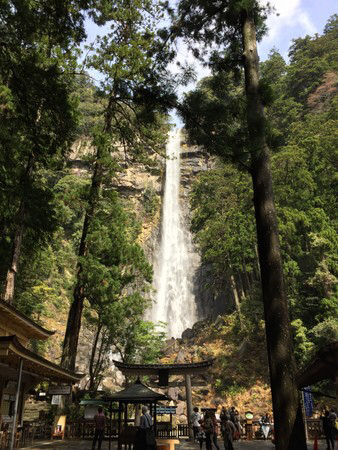 那智の滝 那智大滝 の写真一覧 じゃらんnet