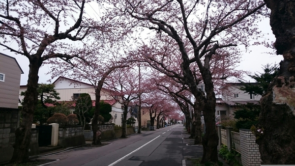 �����u�ʂ�