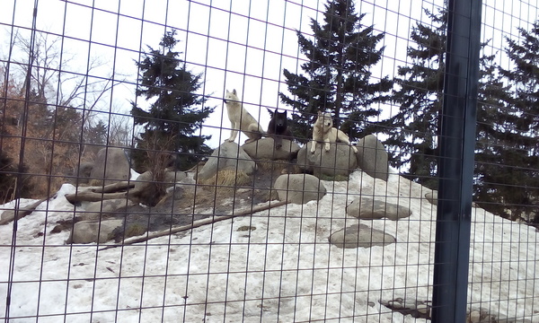 ���R������