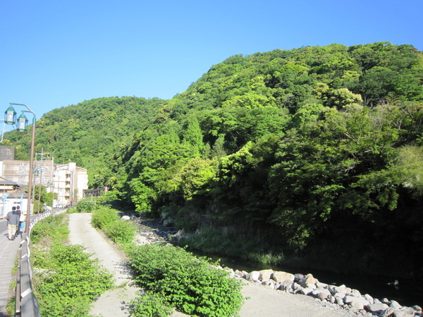 �z�e���}�C���N�[���ˌ�