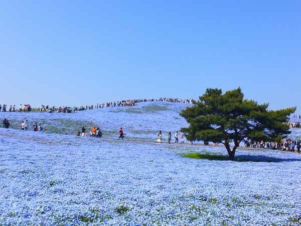 大洗 ひたちなかの観光コース 旅行記 じゃらんnet