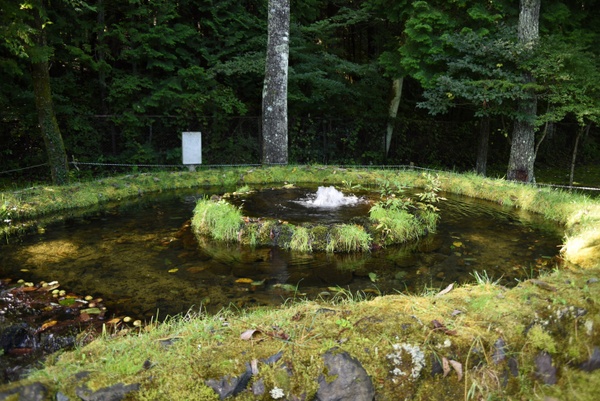 �����Ȍ���