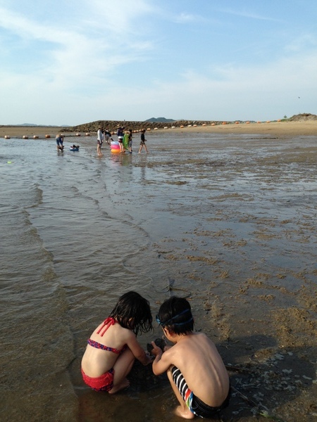 パールサンビーチ 樋合海水浴場 の写真一覧 じゃらんnet