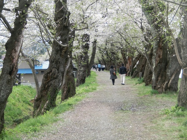 �O�ؓ����̍�����