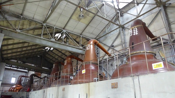 �j�b�J�E���X�L�[�]�s������