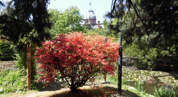 �k�C�������{����(�Ԃ�񂪒���)