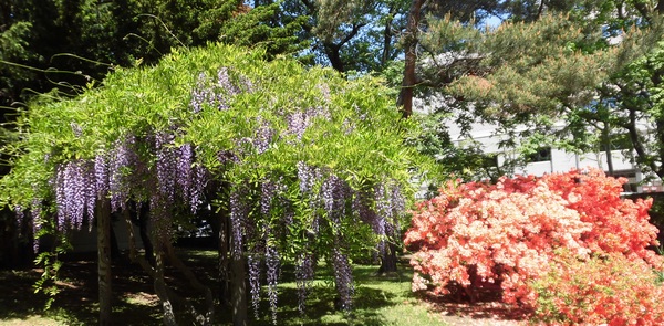 �k�C����w�A����