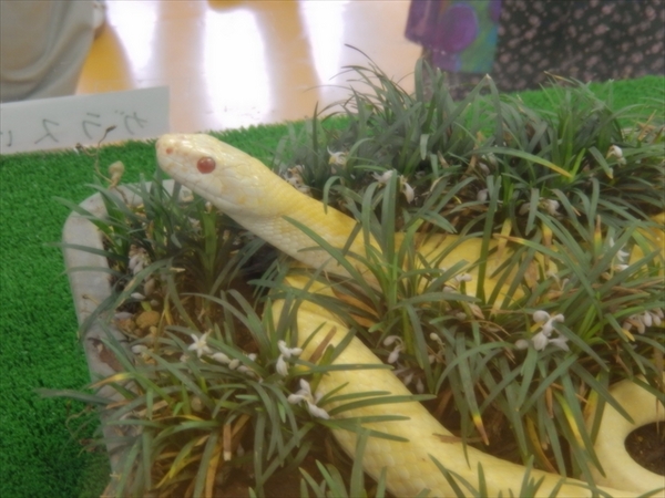 ���Ái�V�_�j���֎�����