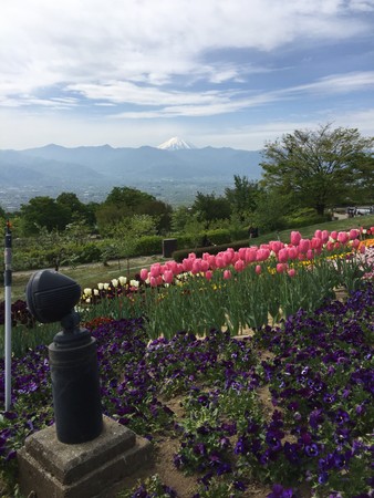�J����t���[�c�����E�t���[�c�Z���^�[