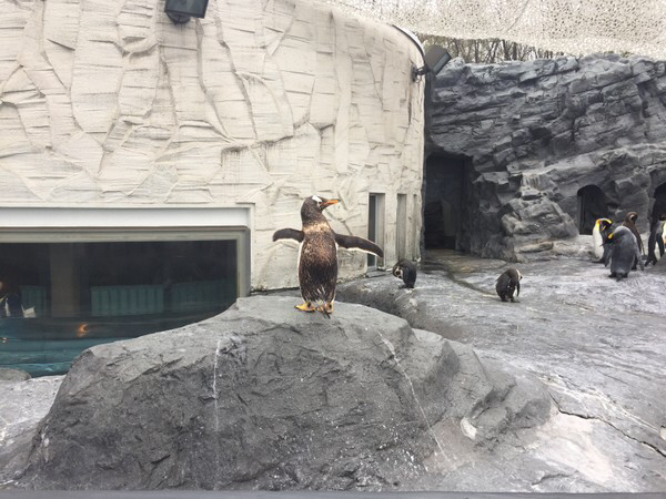 ���R������