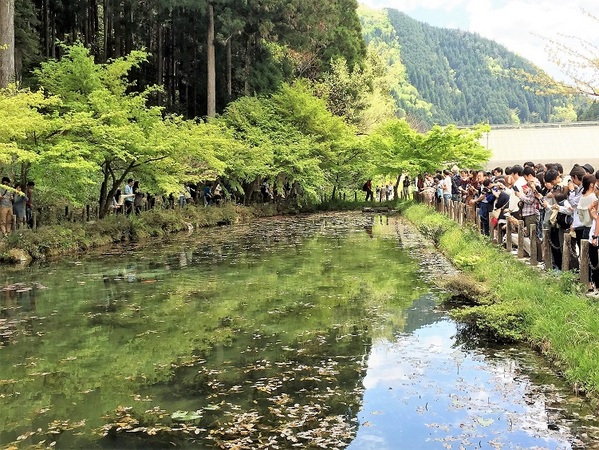 ���l�̒r�@�򕌌�