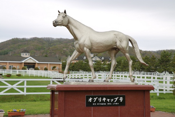 �D�x�������A���p�[�N