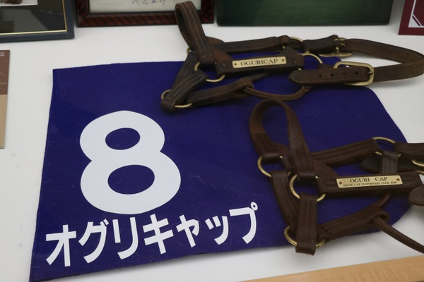 �D�x�������A���p�[�N