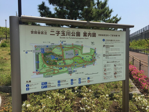 ��q�ʐ����