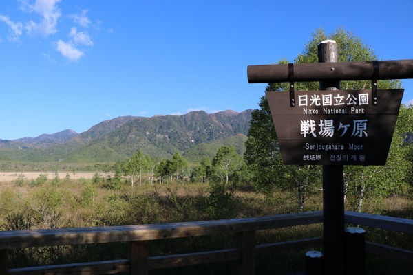 戦場ヶ原