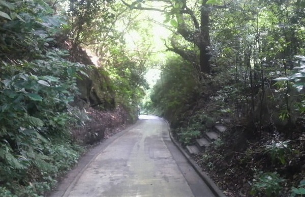 �T���J��ؒʂ�