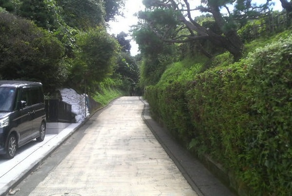 �T���J��ؒʂ�