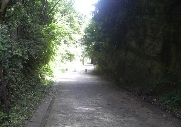 �T���J��ؒʂ�