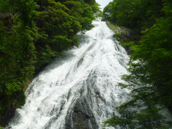 茨城