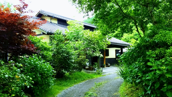 ���쉷��@�؏���