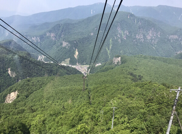 ���R�w�_���E���x���[�v�E�F�C