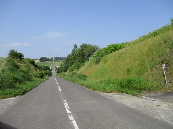 �W�F�b�g�R�[�X�^�[�̘H