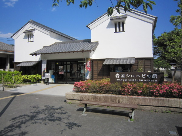 ���Ái�V�_�j���֎�����