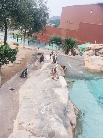 ���֎s�������̂��������فE�C����