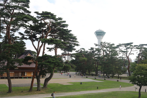 �ܗŊs����