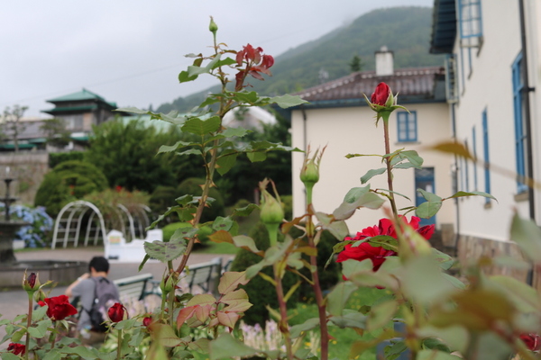 ���َs���C�M���X�̎���