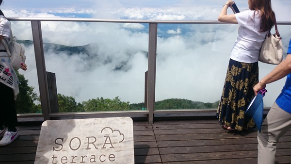 �����}�E���e�����]�[�g