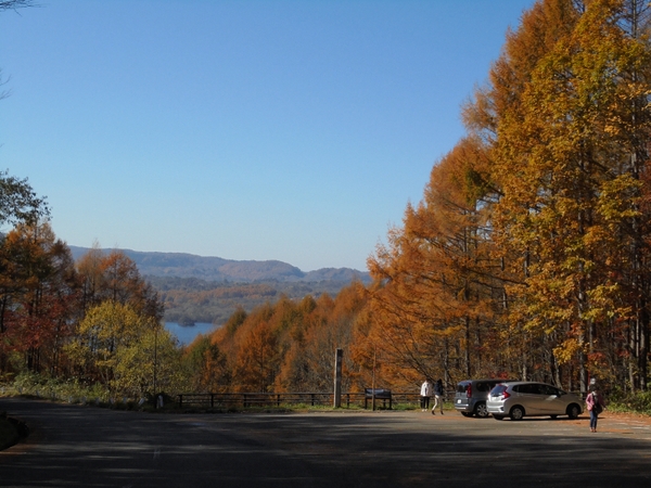 �֒��ȃ��[�N���C��