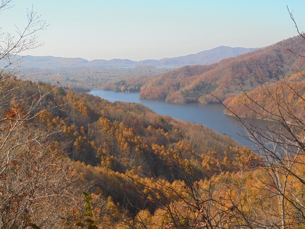 �֒��ȃ��[�N���C��