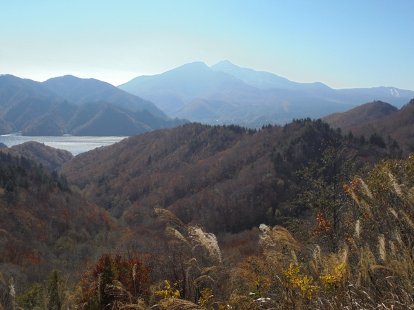 �֒��ȃ��[�N���C��