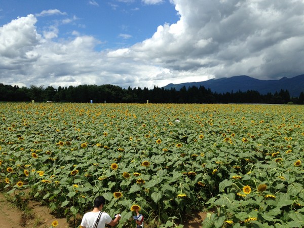 �Ó�Ђ܂��L��