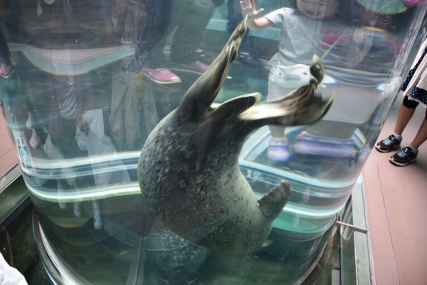 ���R������