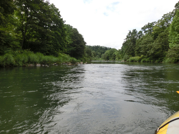 �k�C�����C�I���A�h�x���`���[