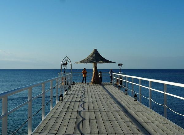 �t�T�L�r�[�`