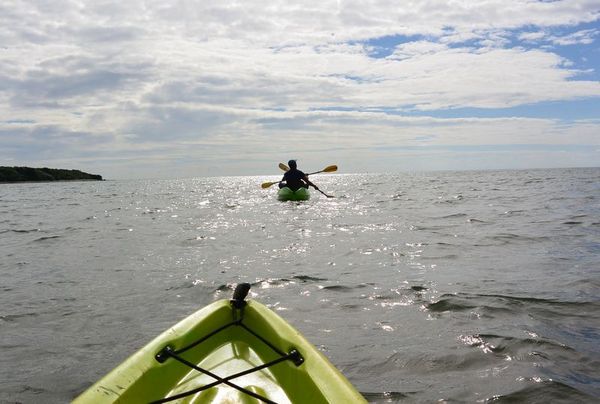 �葆���f���X�����˂���