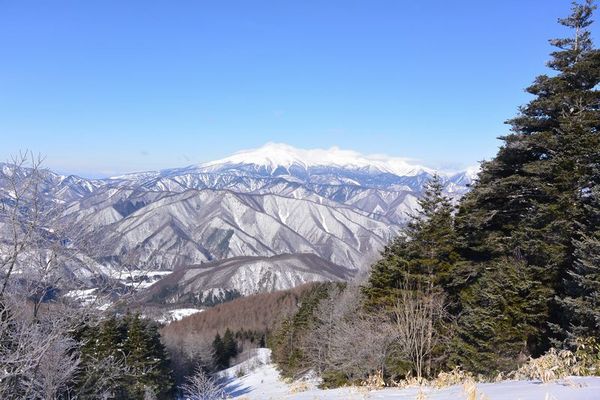 �씞���X�L�[��