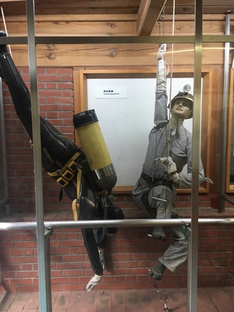 ����V���Ȋw��