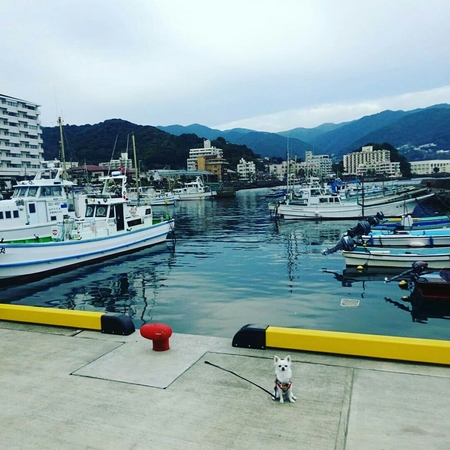 網代温泉海水浴場の写真一覧 じゃらんnet