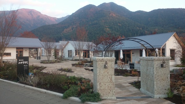 �x�m��΃n�i�e���X